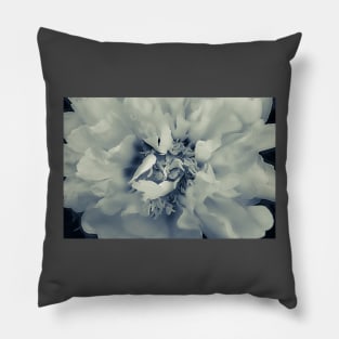 Peony Portrait Monotone Pillow