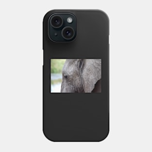 Portrait, African Elephant, Serengeti National Park, Tanzania. Phone Case