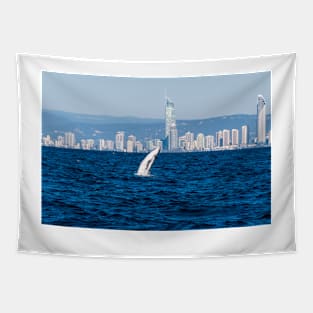 Humpback Whale Breach and Surfers Paradise Tapestry