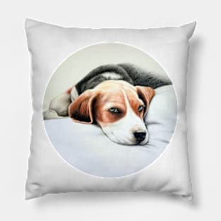 Beagle Pencil Drawing Pillow
