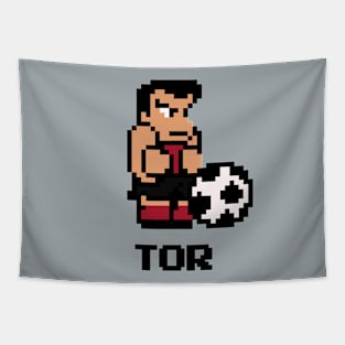 8-Bit Soccer - Toronto Tapestry