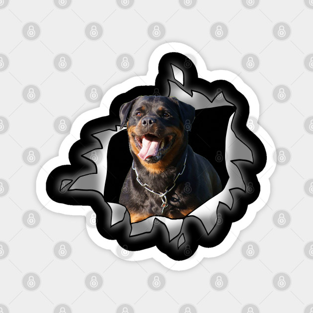 Rottweiler gifts for dog lovers discount