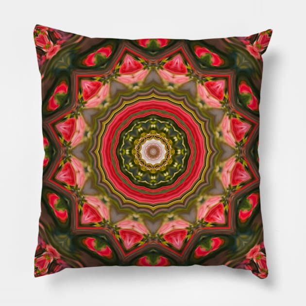 Star Flower of Symmetry Thirty Pillow by MarkusMikaelH