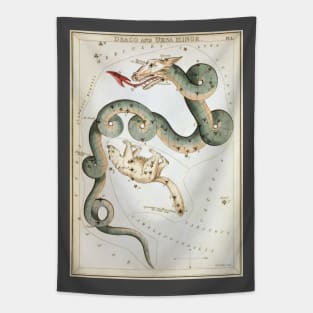 Draco and Ursa Minor Constellations from Urania's Mirror Tapestry