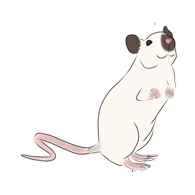 Mini Siamese Rat by eckokitten