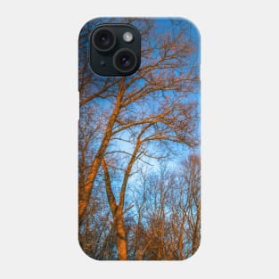 Winter landscape - frosty trees in snowy forest in the sunny morning. Tranquil winter nature in sunlight Phone Case