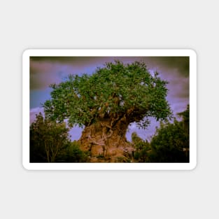 Tree of Life Magnet