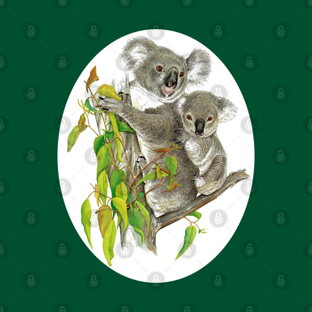 Koala Mother and Baby by KarwilbeDesigns