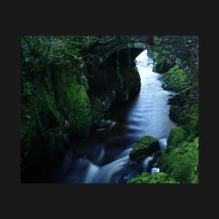 CHEESE CAKE ROCK UNDER PENMACHNO BRIDGE T-Shirt