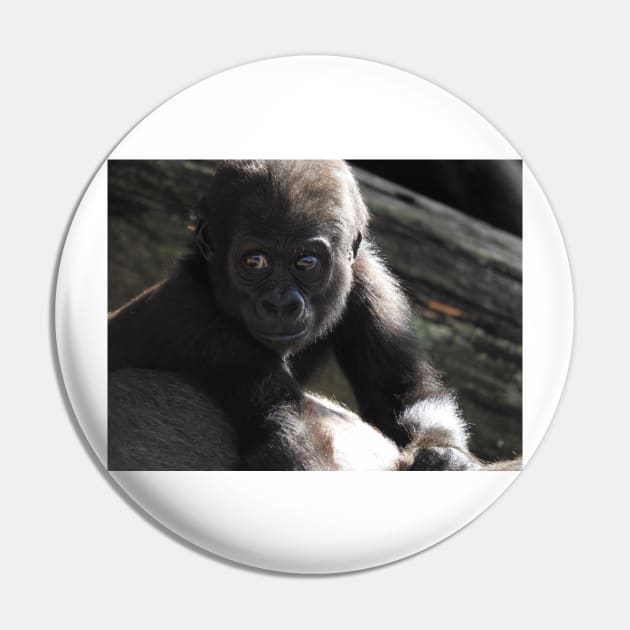 Baby Gorilla Pin by kirstybush