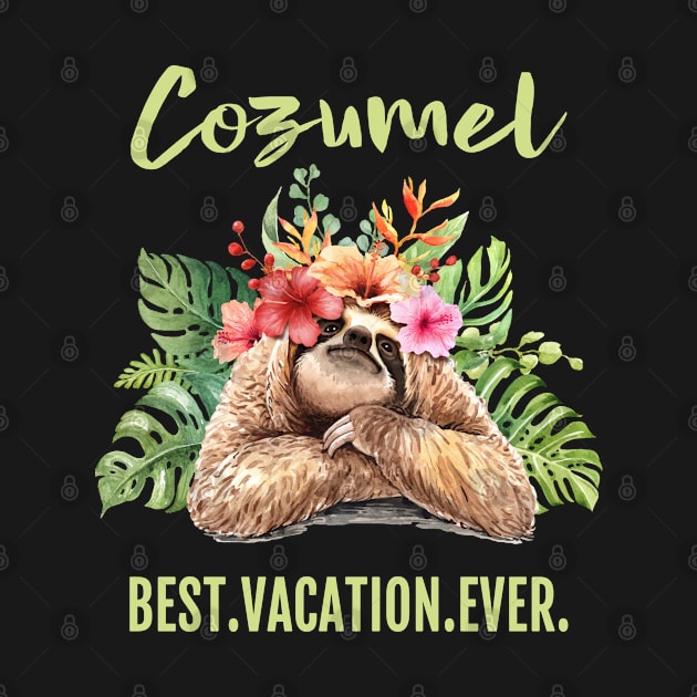 Cozumel Best Vacation Ever Souvenir Gift by grendelfly73