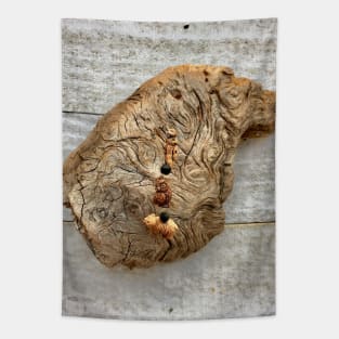 Driftwood Tapestry