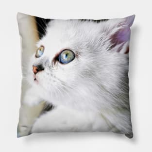 The World In My Eyes Pillow