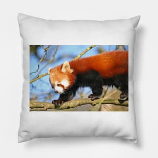 Red Panda Pillow