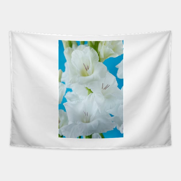 Gladiolus  'White Friendship' Tapestry by chrisburrows