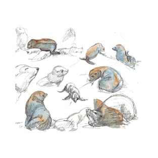 sketches of New zealand seals T-Shirt