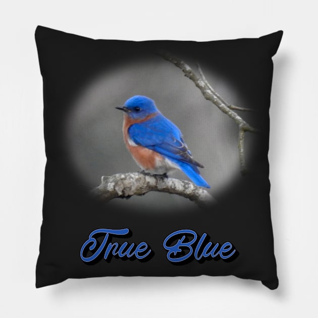 True Blue Eastern Bluebird Pillow by Paul Prints