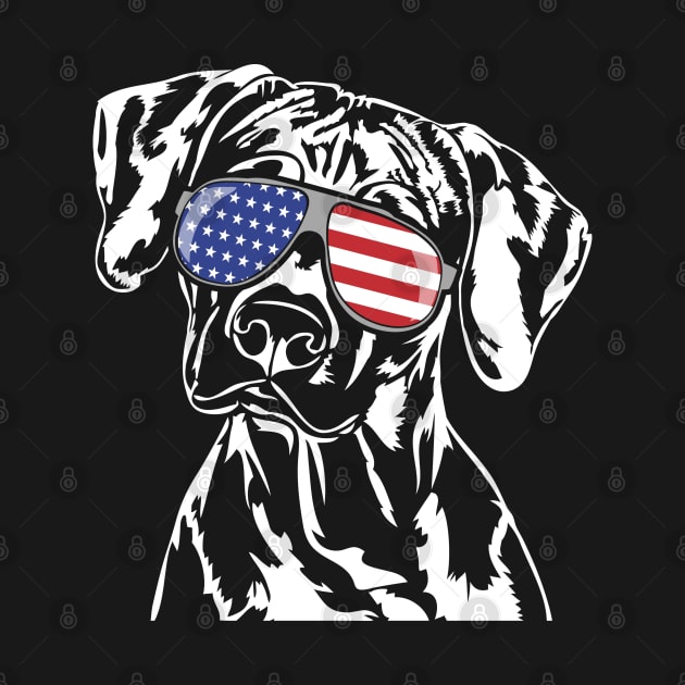 Funny Proud Rhodesian Ridgeback American Flag sunglasses by wilsigns