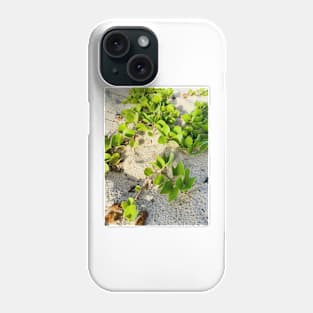 Beach Grass, Oman Phone Case