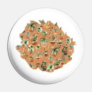 Home Succulent Plants Orange Pin