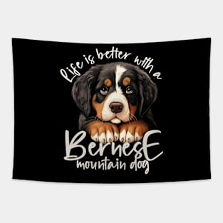 Bernese mountain dog Tapestry