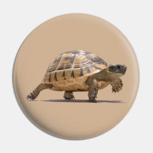 Marching Baby Tortoise Cartoon Vector Isolated Pin