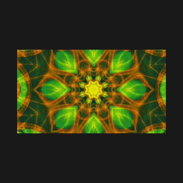 Nature Mandala 01 by Edward L. Anderson 