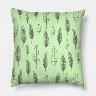 feathers Pillow