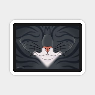 Grey Tabby Cat Face Magnet