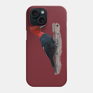 Magellanic woodpecker Phone Case