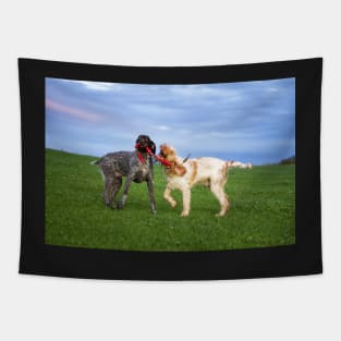 Sausage Wars Spinone Tapestry