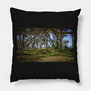 Wenderholm Pohutukawa Pillow