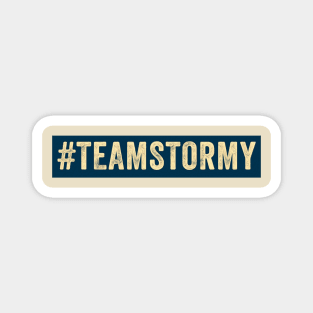 Team Stormy // Logo Box Oil Paint Style Magnet