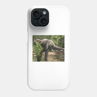 Kruger national park Phone Case