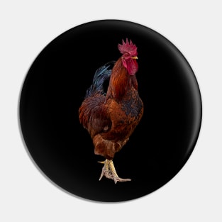 rooster Pin