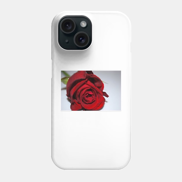 Red rose Phone Case by princess-pirate