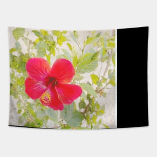 Pretty Red Flower with green leaves nature lovers beautiful photography design Tapestry