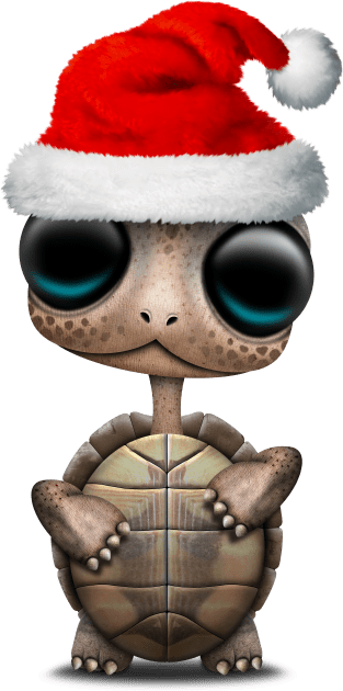 Christmas Turtle Wearing a Santa Hat Kids T-Shirt by jeffbartels