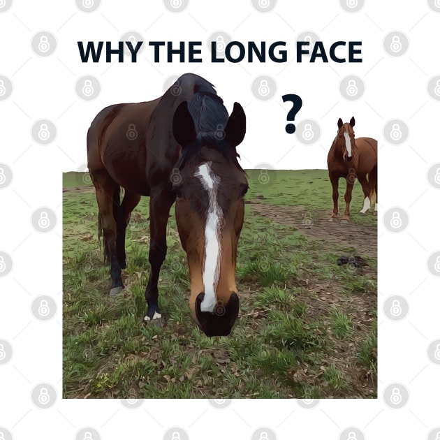 Why The Long Face? - Funny Horse by Lakeric