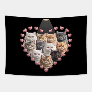 Valentine's Day British Longhair cat Heart Tapestry