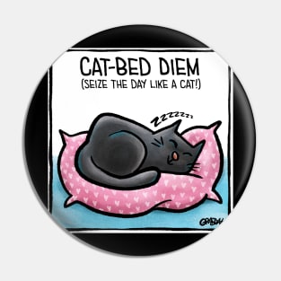 Cat Bed Diem Pin