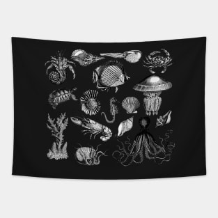 Vintage Sea Life Illustrations Tapestry