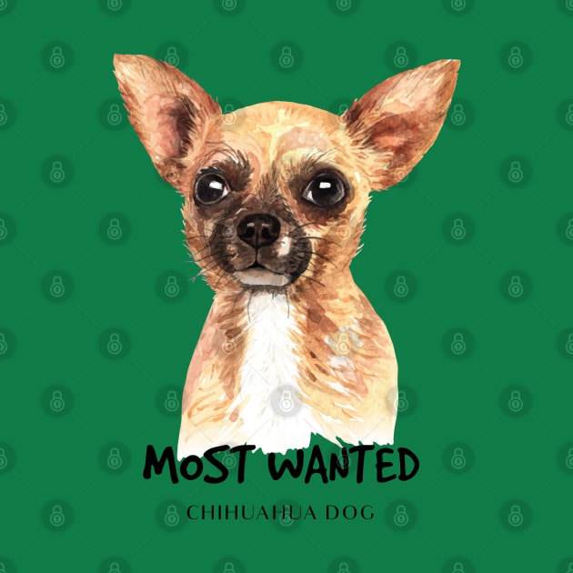 Most wanted chihuahua dog by Mako Design 