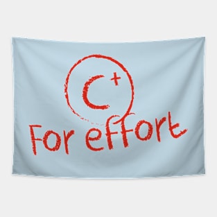 C+ for Effort Tapestry