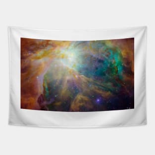 Orion Nebula Tapestry