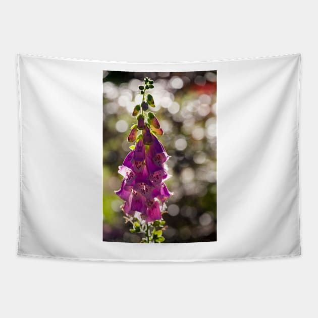 Foxglove Tapestry by ansaharju