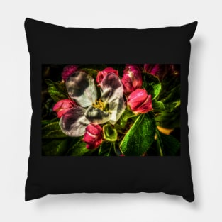 HDR Apple Blossom Pillow