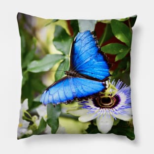 Schmetterling Morphofalter / Swiss Artwork Photography Pillow