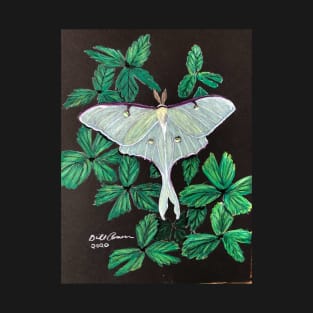 Luna moth T-Shirt