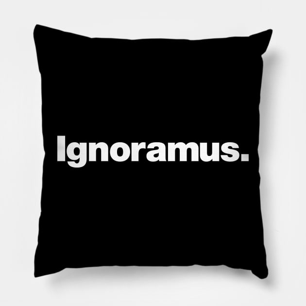 Ignoramus Pillow by Chestify